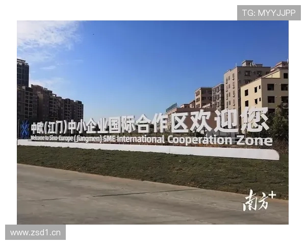 国际米兰官方合作伙伴的合作策略与未来合作潜力深度解析