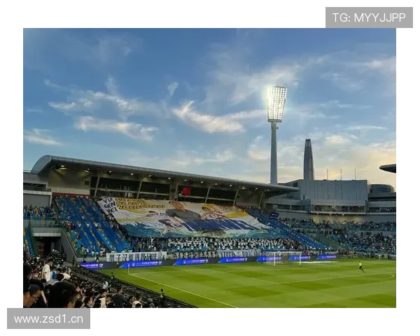 赛搏体育：推动青少年体育发展，培养未来体育明星的摇篮