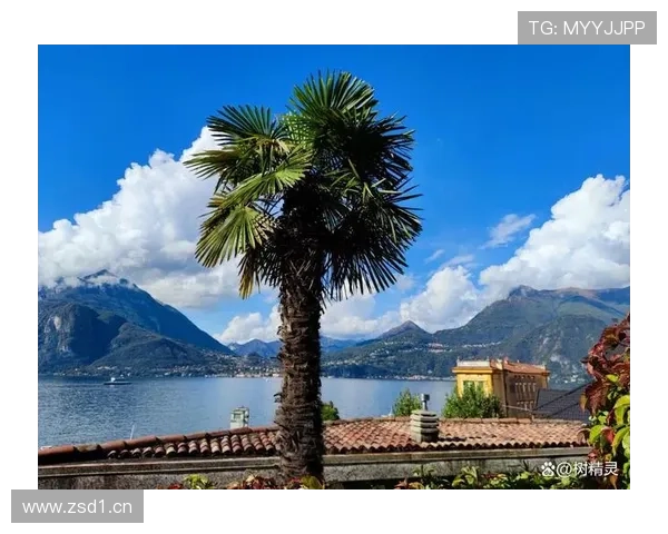 米兰下载最新版本应用程序，轻松体验意大利时尚生活