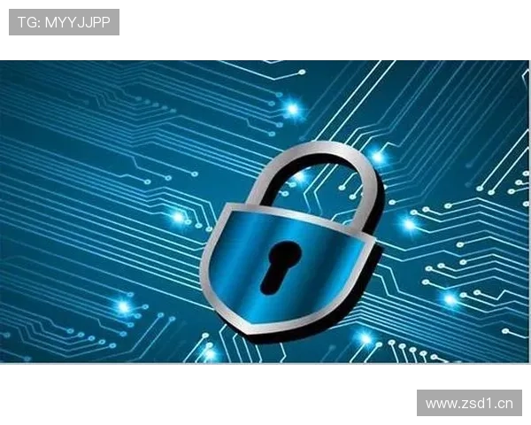 米兰体育网页版的安全保障措施与用户隐私保护策略详解